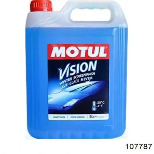 107787 Motul