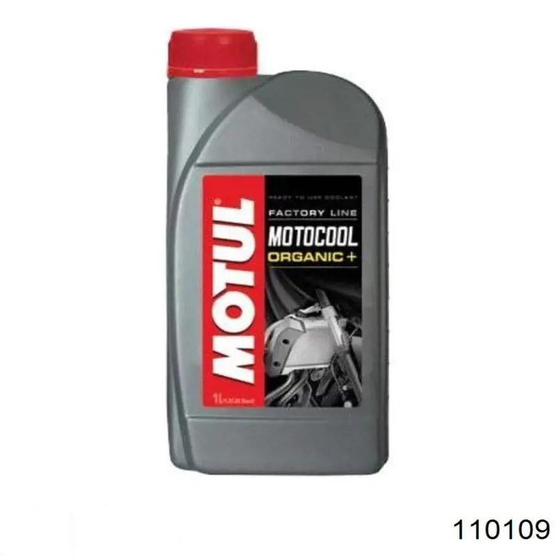 110109 Motul 