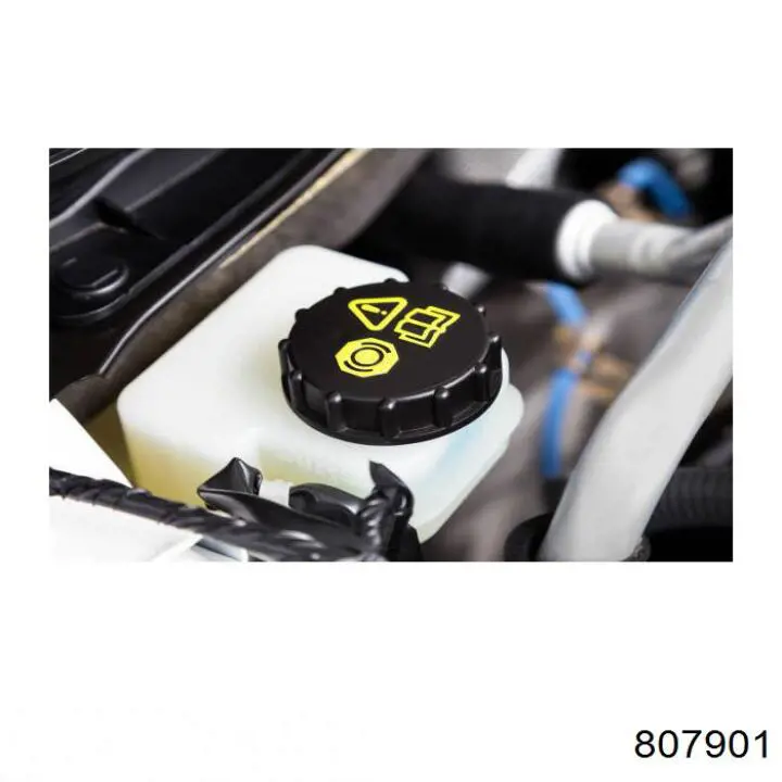 Comprar 807901 Motul Liquido de frenos
