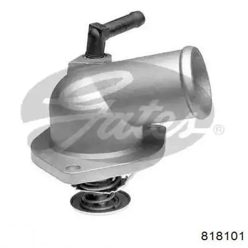818101 Motul Refrigerante