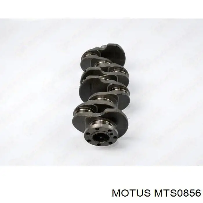 Cigüeñal Motus MTS0856 precio, desde 434,56 EUR