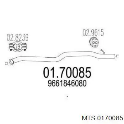 Comprar 173074 Peugeot/Citroen Silenciador trasero