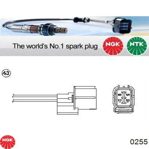 0255 NGK sonda lambda sensor de oxigeno para catalizador