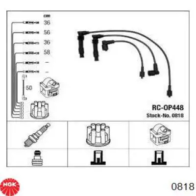 Comprar 818 NGK Cable de bujía