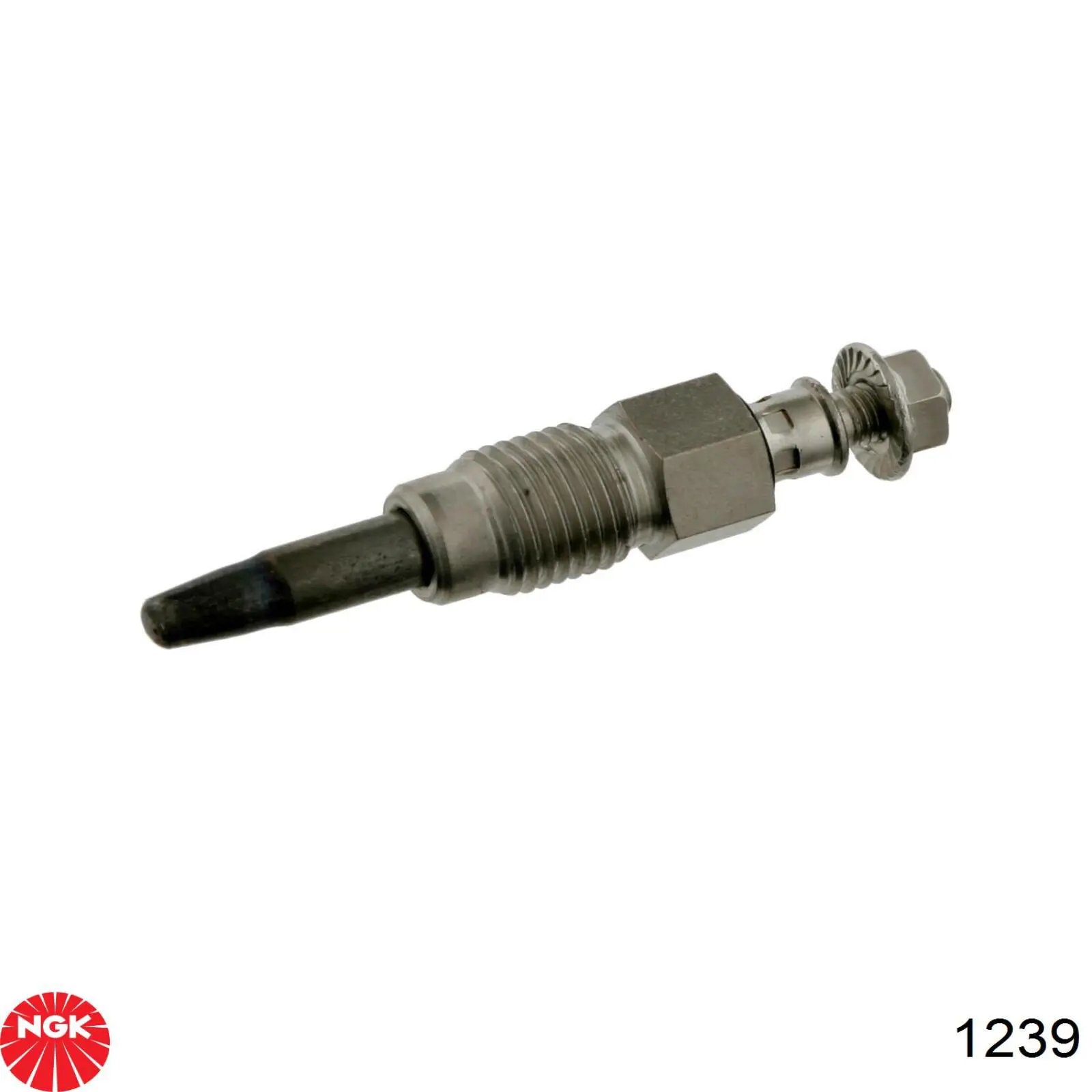 Bujías incandescentes NGK 1239 precio, desde 13,38 EUR