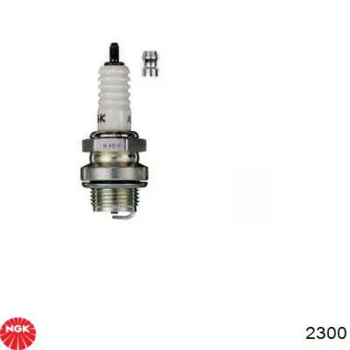 Comprar 2300 NGK Bujía de encendido