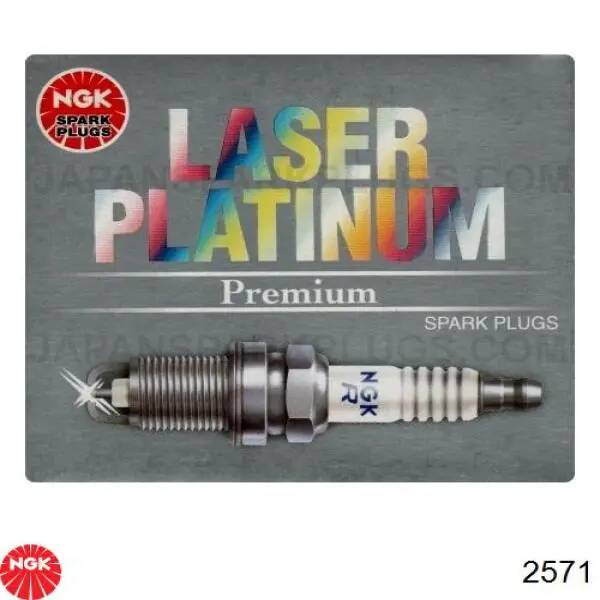 2571 NGK