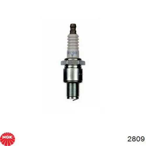 Bujías NGK 2809 precio, desde 43,83 EUR