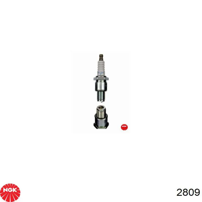 2809 NGK Bujía de ignición