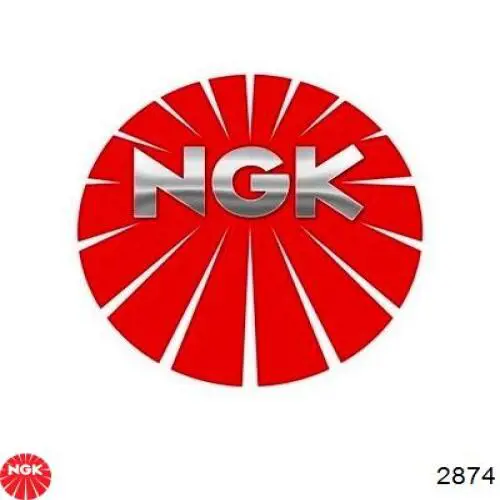 2874 NGK