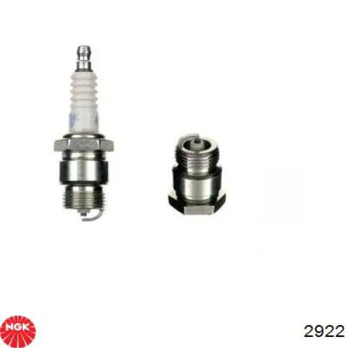 Bujías NGK 2922 precio, desde 9,50 EUR