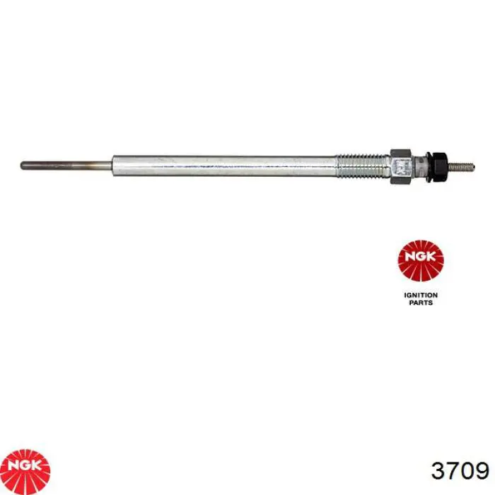 Comprar 3709 NGK Bujía de precalentamiento