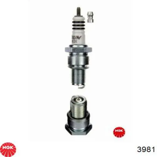 Bujías NGK 3981 precio, desde 11,21 EUR
