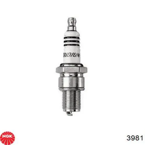 Comprar 3981 NGK Bujía de encendido