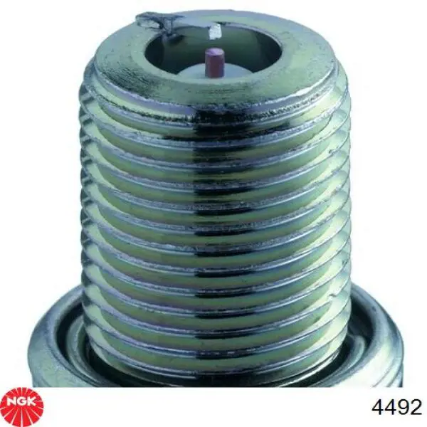 Comprar 4492 NGK Bujía de encendido
