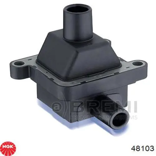 Bobina 80227 FAE
