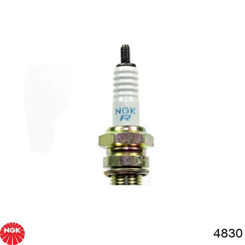Bujías NGK 4830 precio, desde 9,50 EUR