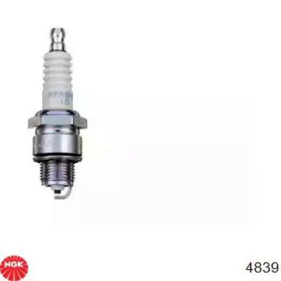 Bujías NGK 4839 precio, desde 6,51 EUR