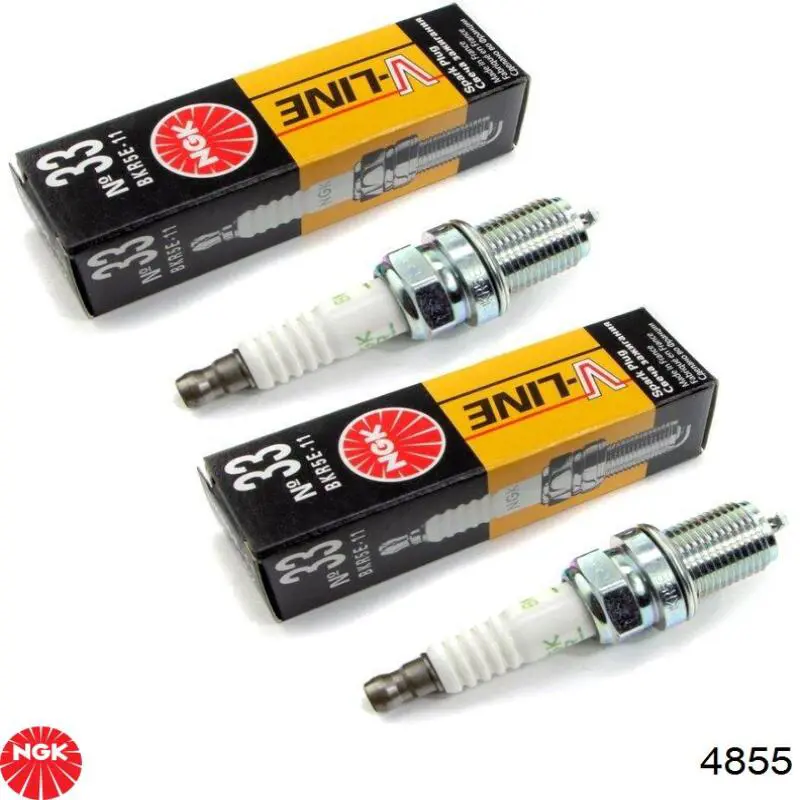 Bujias de encendido NGK 4855