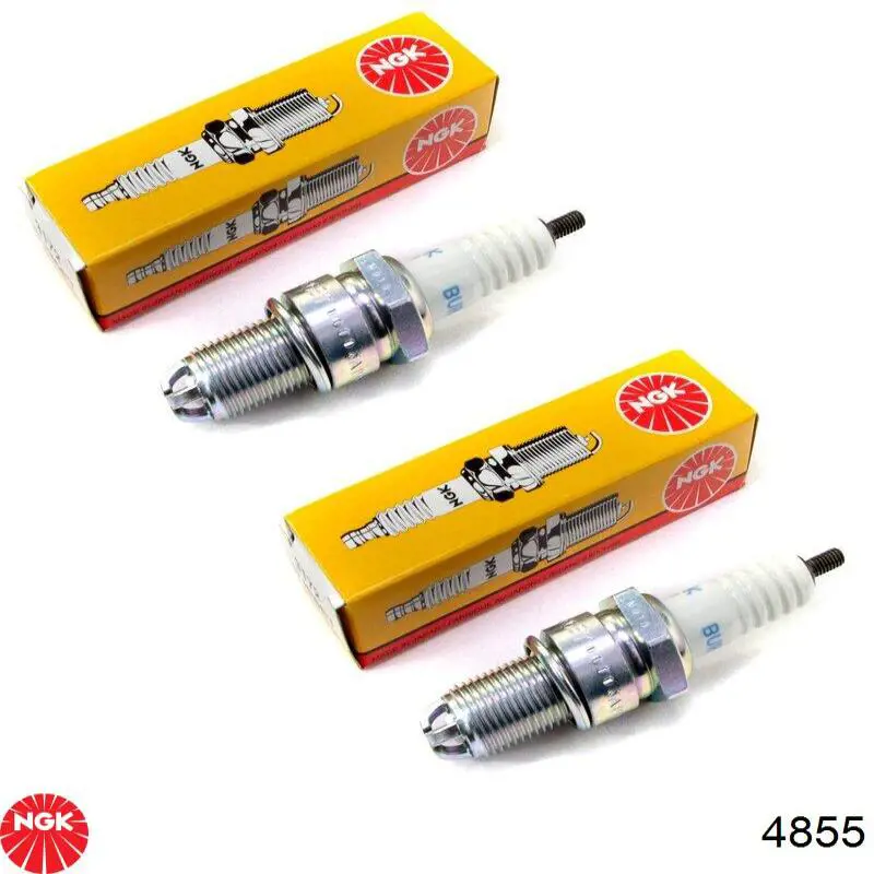 4855 NGK Bujía de ignición