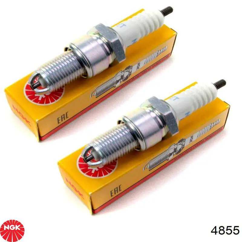 Bujías NGK 4855 precio, desde 8,09 EUR