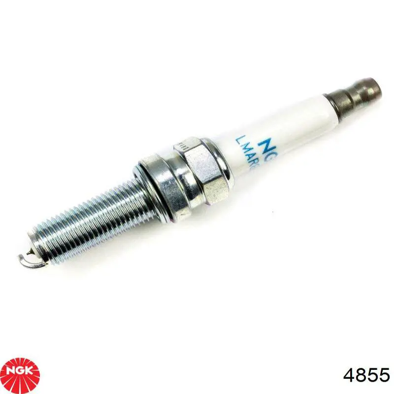 Comprar 1117 NGK Bujía de encendido