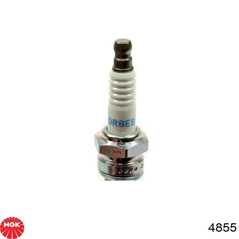 Bujía 4855 NGK