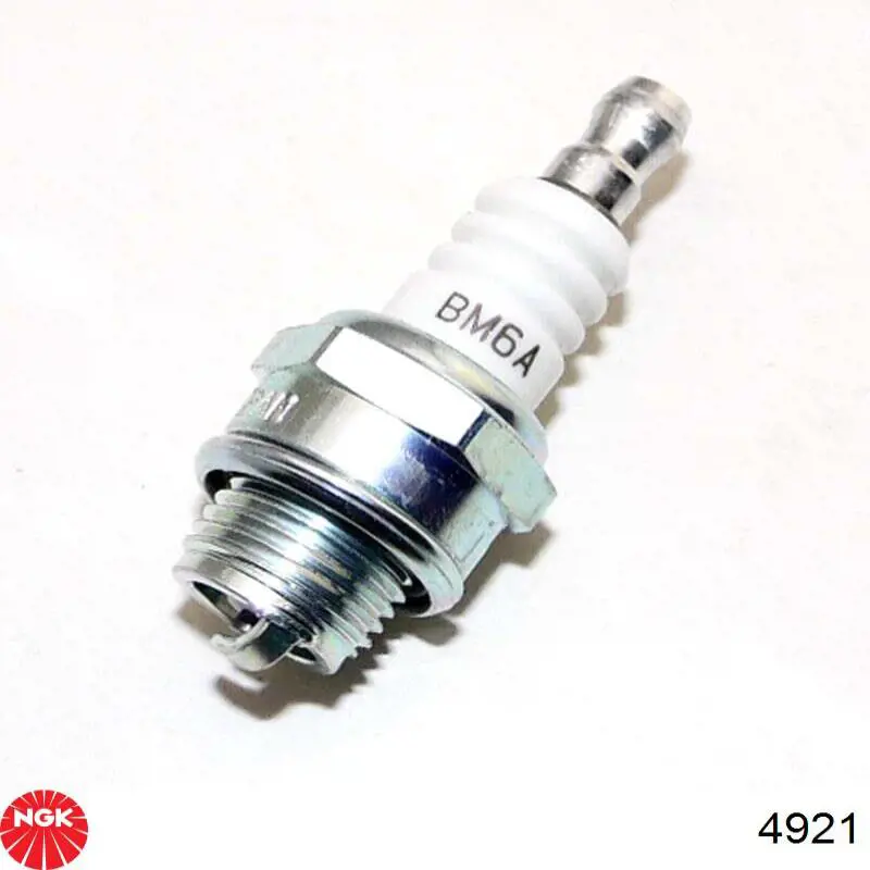 Bujías NGK 4921 precio, desde 8,35 EUR