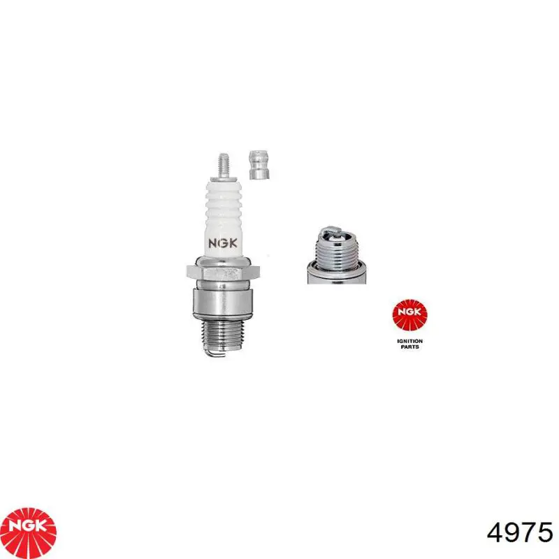 Bujías NGK 4975 precio, desde 7,00 EUR