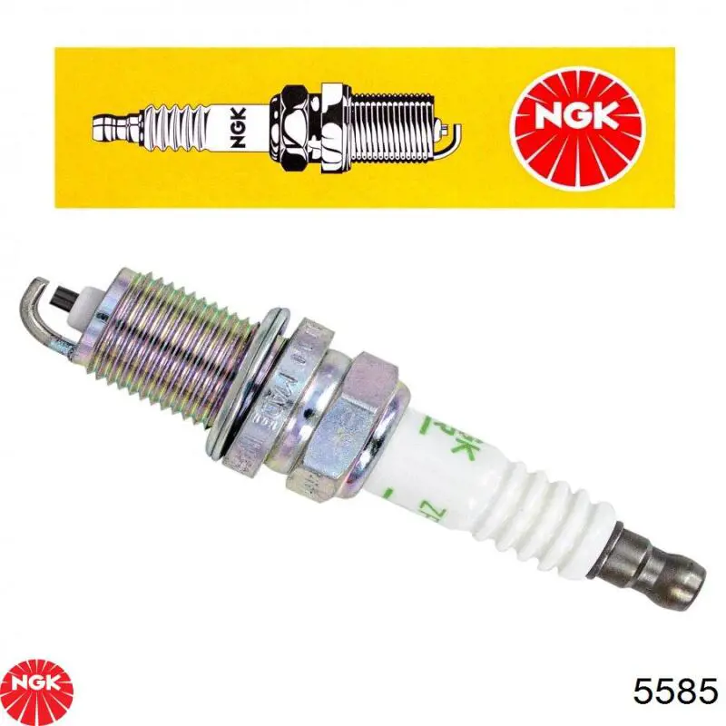 Bujías NGK 5585 precio, desde 6,06 EUR