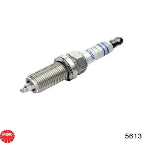 Comprar 5613 NGK Bujía de encendido