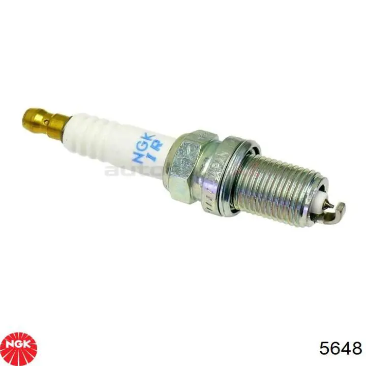 Comprar 5648 NGK Bujía de encendido