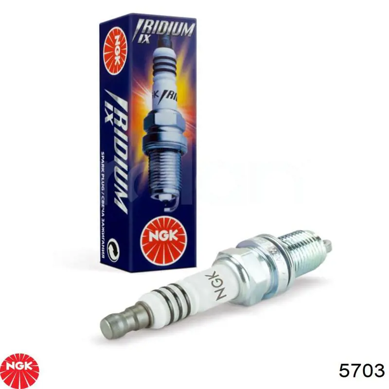 Comprar 5703 NGK Bujía de encendido