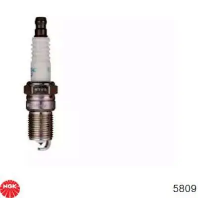 Comprar 5809 NGK Bujía de encendido