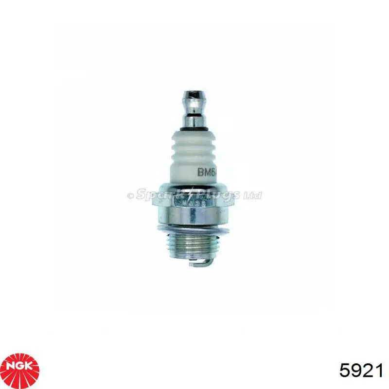 5921 NGK Bujía de ignición