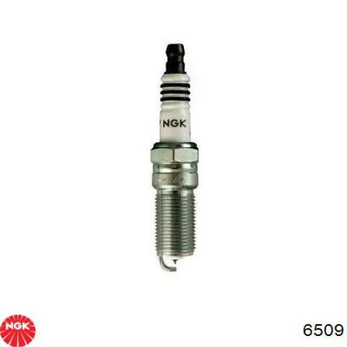 Comprar 6509 NGK Bujía de encendido