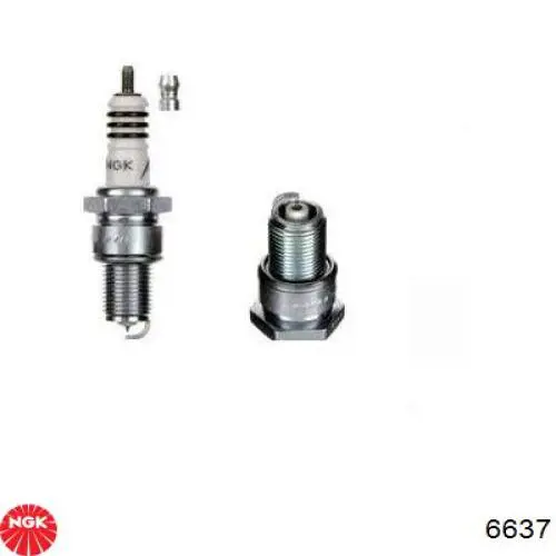 Comprar 6637 NGK Bujía de encendido