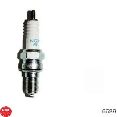 Bujías NGK 6689 precio, desde 27,39 EUR