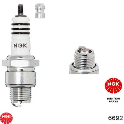 2844 NGK Bujía de ignición