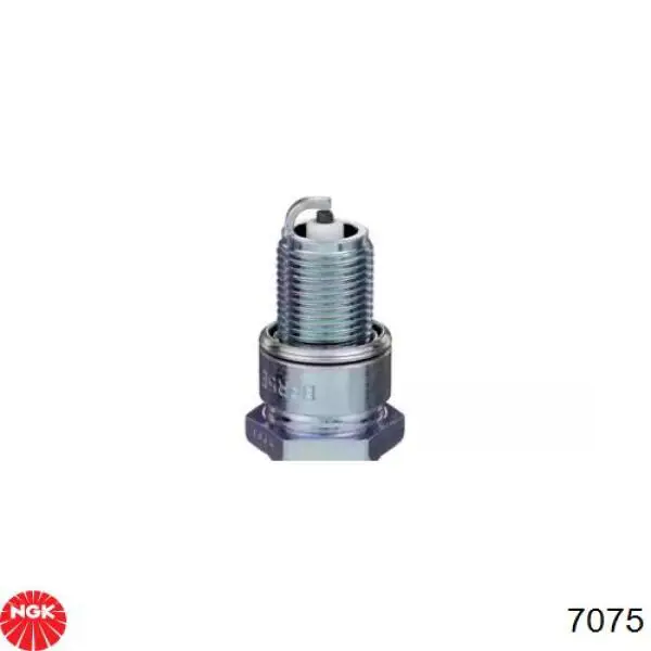 Comprar 7075 NGK Bujía de encendido