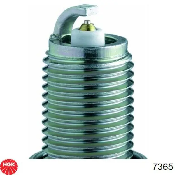 7365 NGK Bujía de ignición