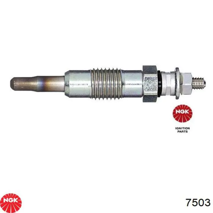 Comprar 7503 NGK Calentadores diésel
