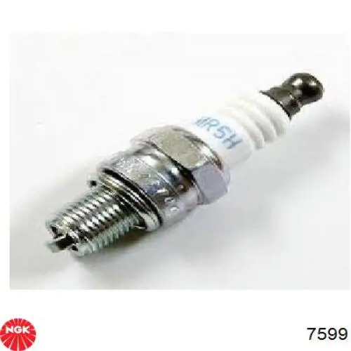 Comprar 7599 NGK Bujía de encendido