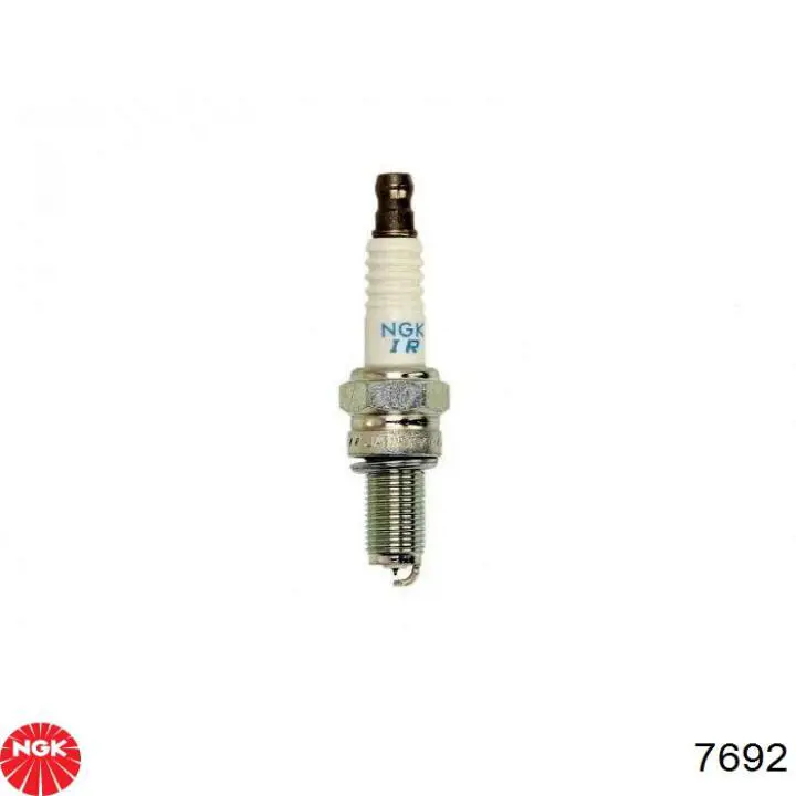 Bujías NGK 7692 precio, desde 62,78 EUR