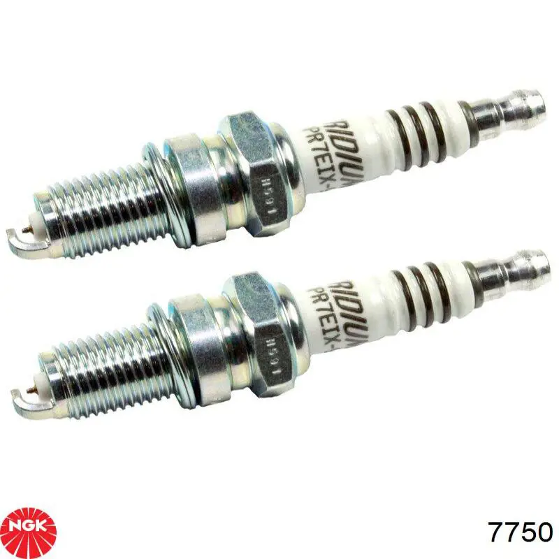 7750 NGK