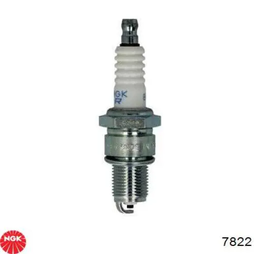 Comprar 7822 NGK Bujía de encendido