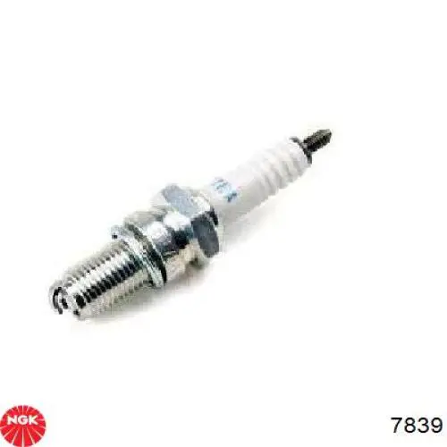 Comprar 7839 NGK Bujía de encendido