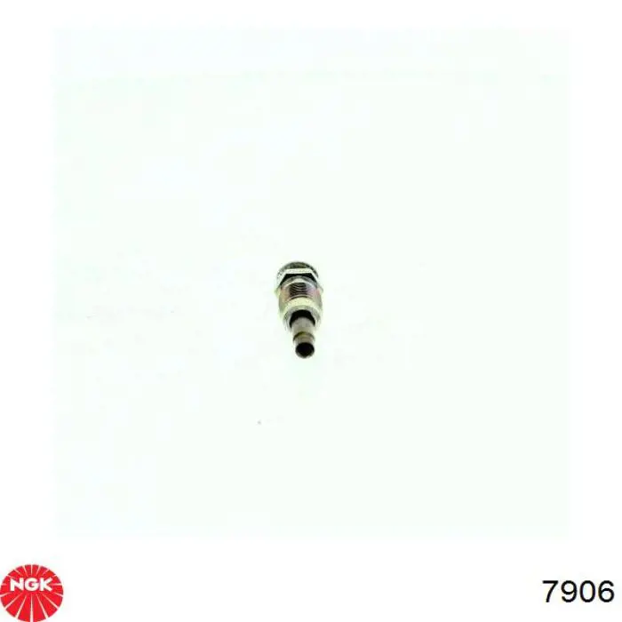 Bujías incandescentes NGK 7906 precio, desde 20,71 EUR