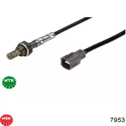 Sonda lambda 7953 NGK