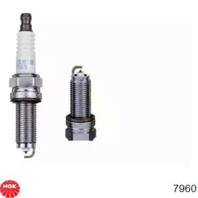 Bujías NGK 7960 precio, desde 6,81 EUR